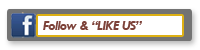 Facebook Page